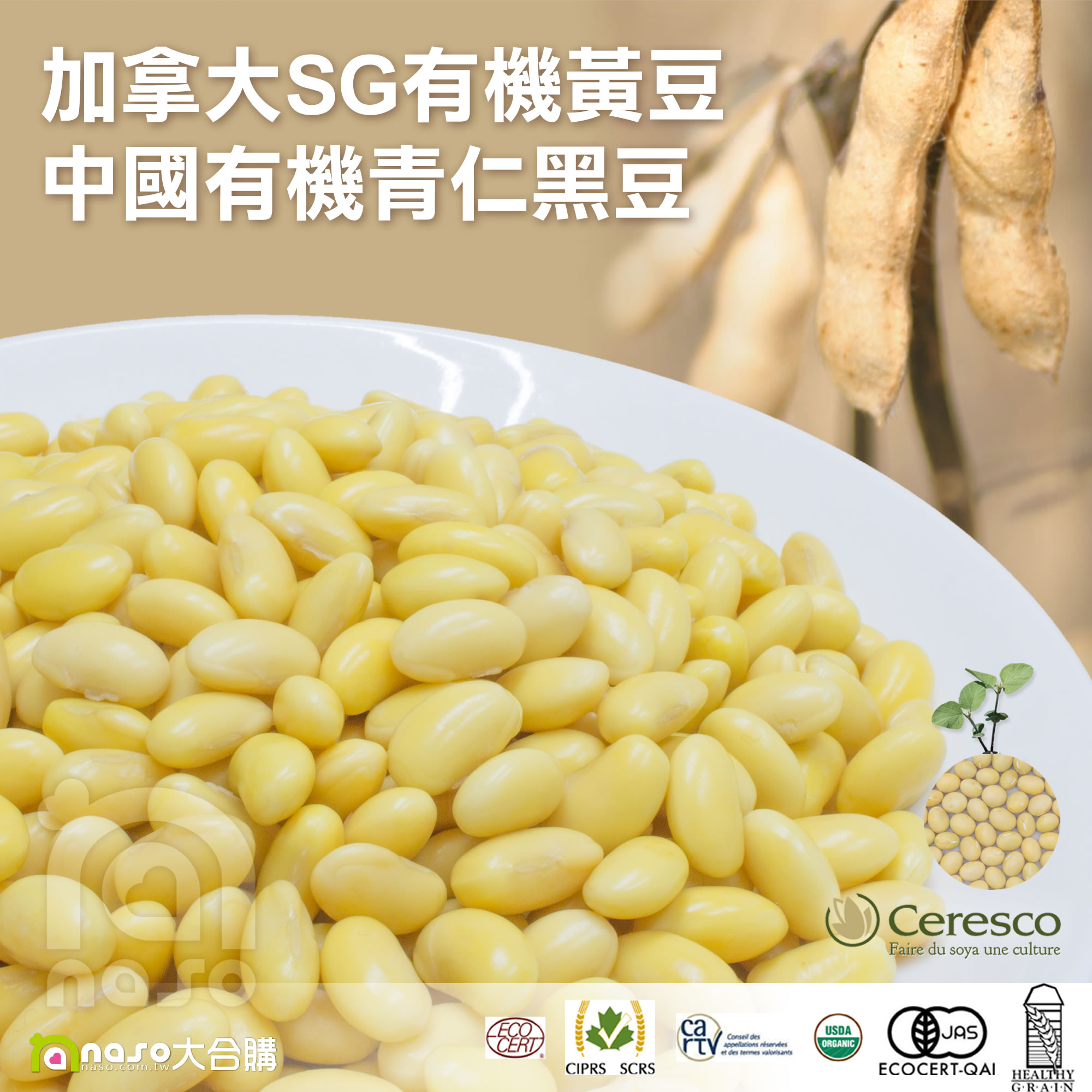 加拿大SG非基改有機黃豆(30kg)/中國非基改有機青仁黑豆(25kg)好評第16團