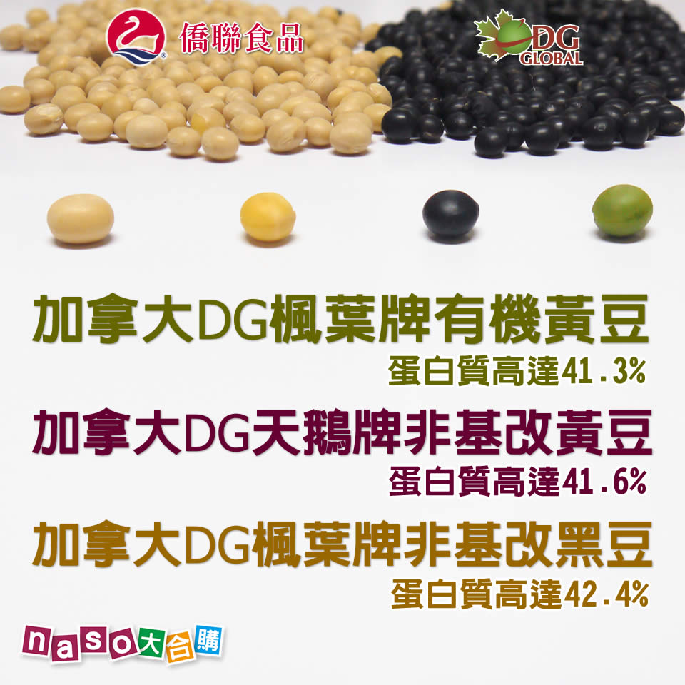 加拿大DG優質非基改青仁黑豆/黃豆/有機黃豆③
